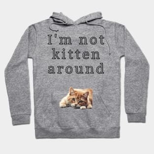 I'm not kitten around Hoodie